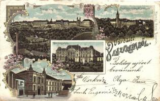 1898 Veszprém, Vármegyeház, Irgalmas nénék intézete, Angolkisasszonyok intézete, floral, litho (EK)