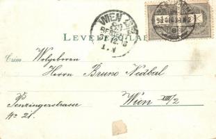 1898 Veszprém, Vármegyeház, Irgalmas nénék intézete, Angolkisasszonyok intézete, floral, litho (EK)