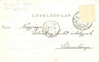 1898 Kecskemét, Fő tér, Zsinagóga, színház, Katona József és Szentháromság szobor, Katolikus főgimná...