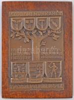 1943. "Soproni Munkahét - 1943. szeptember 5-12." Br plakett, csavarokkal falapra erősítve (53x77mm/70,5x96,5mm) T:2