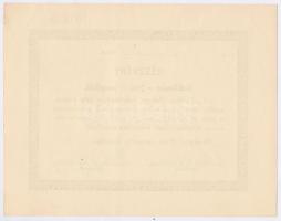 Budapest 1946. "Bakács Udvar részvénytársaság felszámolás alatt" részvény 200P-ről T:I-