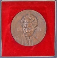 ~1970-1980. "A József Attila Gimnázium és Szakközépiskola 25. évfordulója" Br plakett, eredeti tokban (98mm) T:2