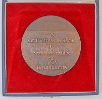 ~1970-1980. "A József Attila Gimnázium és Szakközépiskola 25. évfordulója" Br plakett, ere...