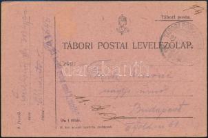 1917 Tábori posta levelezőlap / Field postcard M. kir. 313. honvéd gyalog ezred 2. zászlóalj + TP 640