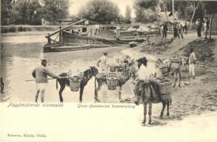 Nagybecskerek, Zrenjanin; Vízvezeték, vízhordó férfiak szamarakkal, felvette és kiadja Oldal / canal, water carrying men with donkeys