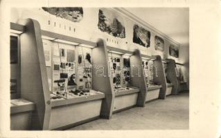 Budapest VIII. Természettudományi múzeum, Föld és az élet fejlődéstörténete c. kiállítás, belső; Képzőművészeti Alap Kiadóvállalat  (fa)