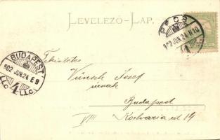 1902 Pécs, vasútállomás peronja, kiadja Fischer Henrik