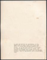 cca 1930 Divatfotó, hátulján feliratozva, 25,5×20,5 cm