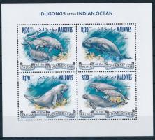 Dugong minisheet, Dugong kisív