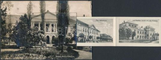 Makó, Megyeháza, kiadja Kenéz Antal, leporellocard (fl)