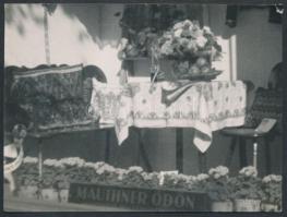 cca 1920 Mauthner Ödön kiállítási standja, hátoldalon könyvtári pecséttel, 9x12 cm