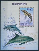 Delfin blokk, Dolphin block