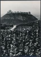 A sümegi vár, jelzetlen fotó, 23x17 cm