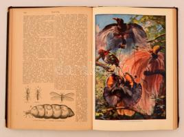 Tolnai Új Világlexikona I-XVIII. kötet. Nem teljes. Budapest, 1926-1930, Tolnai Nyomdai Műintézet és...