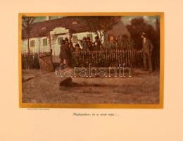 Pap Zoltán: Muzsikaszó. Regény dalban. Budapest, 1910. Petőfi-Társaság. Számos szövegközti, színes, ...