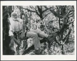 Sean Connery(1930-) színész mint alpinista, filmfotó, 20x25 cm