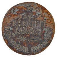 ~1970-1980. "XX. Kerületi Tanács - Társadalmi munkáért" Br díjplakett, eredeti tokban (96m...