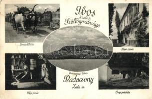 Badacsony, Ibos család szőlőgazdasága, borszállítás ökrökkel, régi pince, öreg présház, Ibos kúria (EK)