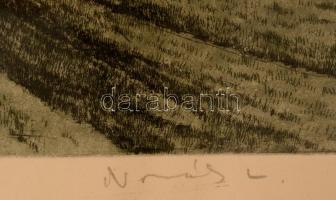 Novák Lajos (1927-1989):Dömös.  Rézkarc, papír, jelzett, üvegezett keretben, 33 x 60 cm