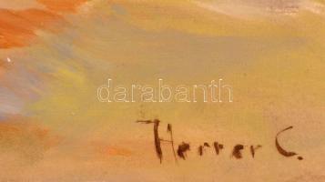 Herrer jelzéssel: Piac. Olaj, vászon, 47×60 cm