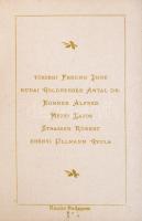 1899 Hungária Piknik táncrend, díszes tartóban, ceruzával, kitöltetlen