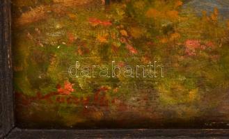 Zorkoczy jelzéssel: Libapásztor. Olaj, karton, keretben, 29×21 cm