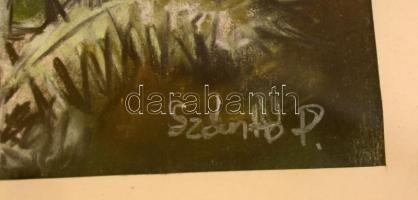 Szántó jelzéssel: Bogáncs. Vegyes technika, papír, üvegezett keretben, 38×18 cm