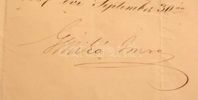 1867 Kinevezés Mikó Imre (1805-1876) közmunka- és közlekedésügyi miniszter saját kezű aláírásával a ...