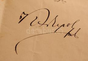 1873 Geográfiai mérnök áthelyezési okmánya Kerkapoly Károly (1824-1891) pénzügyminiszter saját kezű ...