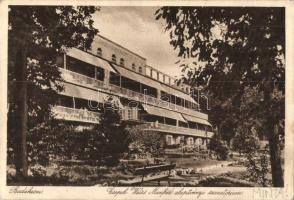 Budakeszi, Csepeli Weiss Manférd alapítványi szanatórium, Ausfallmuster (fa)