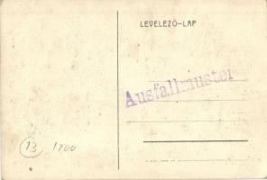 Budakeszi, Csepeli Weiss Manférd alapítványi szanatórium, Ausfallmuster (fa)