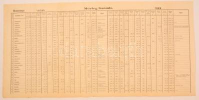 cca 1906 Máramaros vármegye mérlegszámlája az 1905-1906. évre, részlet (Aknasugatag-Kőrösmező)