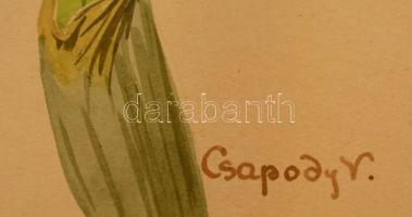 Csapody Vera (1890-1985): Nárcisz. Akvarell, papír, jelzett, üvegezett keretben, 30×20 cm