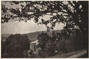 Odvos, Konopi-kastély / castle