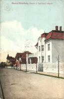 Marosvásárhely, Targu Mures; Tisztviselői telep / officers' colony (fl)