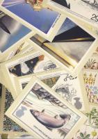 79db angol bélyegeket ábrázoló modern képeslap