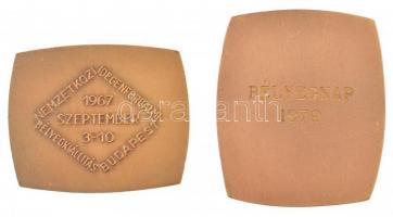 Iván István (1905-1968) 1963. "Nemzetközi Bélyegkiállítás - SOCPHILEX" ezüstözött fém plak...