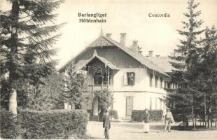Tátra, Barlangliget, Höhlenhain, Tatranská Kotlina; Concordia, Fejes Bertalan üzlete, Britz Berta felvételi tulajdona / hotel, shop (EK)