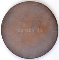 DN "Gerencsér Sebestyén Díj" nagyalakú Br plakett (98mm) T:2