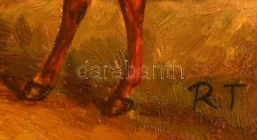R.T jelzéssel: Ló. Olaj, falemez, keretben, 12×17 cm