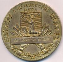 1948. "Pápai Ünnepi Hét 1848-1948 / A jó munkáért" aranyozott Br díjplakett (60mm) T:2