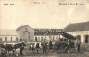 Pöstyén, Piestany; Szeszgyár Gazdaság udvara tehenekkel / Meierhof / distillery, courtyard, cows