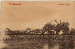 Nemeskosztolány, Zemianske Kostolany; vasútállomás, gőzmozdony / railway station, locomotive (vágott / cut)