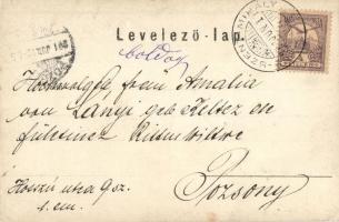 1901 Budapest XVI. Rákosszentmihály, Lányi Villa, photo