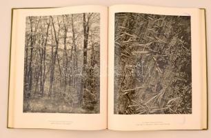 Vajda Ernő: A magyar növényvilág képeskönyve. Budapest, 1956, Művelt Nép. Tudományos és Ismeretterje...