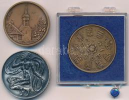 Tóth Sándor (1933-) 1994. "Szabolcs Szatmár Megyei Idegenforgalmi Hivatal / Csaroda" Br em...