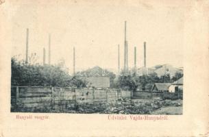 Vajdahunyad, Hunedoara; Hunyadi vasgyár / iron factory