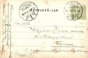 1907 Arad, Maros part, halász kunyhó / river bank, fishing hut, photo