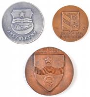 9db-os emlékérem és plakett tétel, magyar városok: Kecskemét, Békéscsaba, Jászberény, Szeged, Mátész...