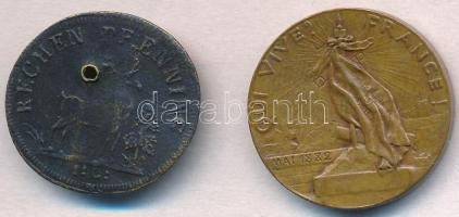 Franciaország 1882. "Hazafiak Ligája" Br emlékérem. Szign.: H. Dubois (23mm) + DN "Mi...